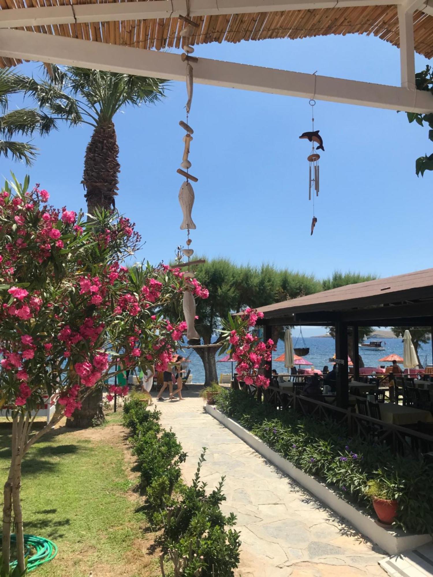 Yilmaz Hotel Ortakent Esterno foto